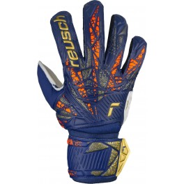 http://www.msportitalia.com/7015-thickbox_default/reusch-attrakt-grip-junior.jpg