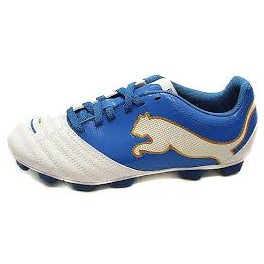 http://www.msportitalia.com/799-thickbox_default/puma-powercat-412-hg-jr.jpg